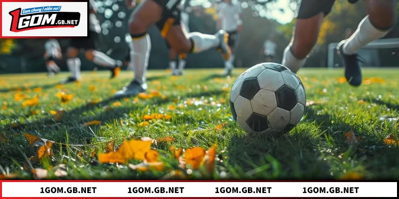 Đăng Ký 1GOM - Hướng Dẫn Tham Gia Nền Tảng Thể Thao Uy Tín Đăng Ký 1GOM - Hướng Dẫn Tham Gia Nền Tảng Thể Thao Uy Tín